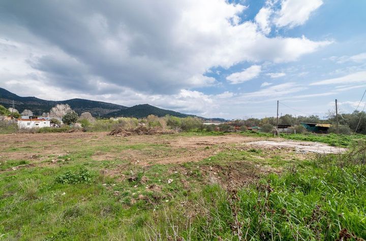 Teren construibil 409,10 mp în Perigiali, Kavala anunturi imobiliare Grecia