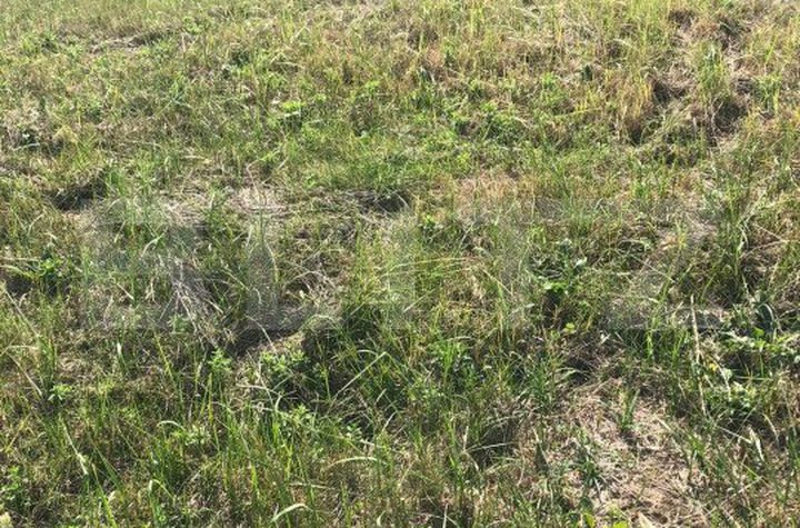 Teren de vanzare DUMBRAVITA - Timis anunturi imobiliare Timis