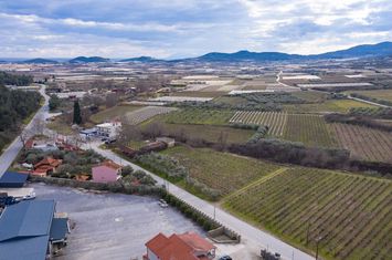 Teren construibil 2.250 mp — Eleftheres, Kavala anunturi imobiliare Grecia