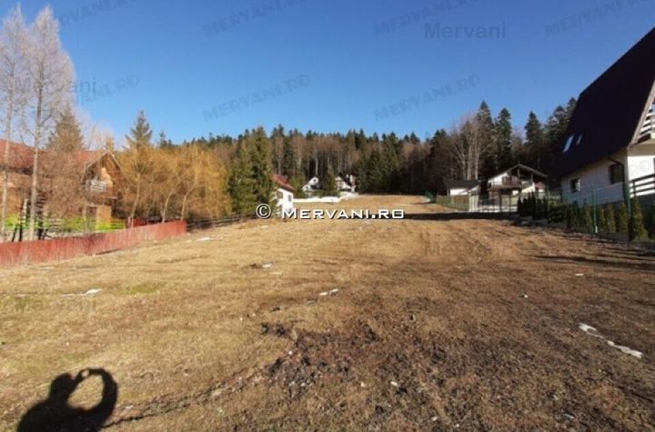 Teren de vânzare în Bușteni (zona Piatra Arsă) anunturi imobiliare Prahova
