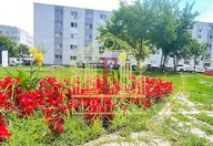 250 €, Garsonieră