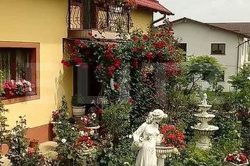 Vilă - 5 camere de vanzare FALTICENI - Suceava anunturi imobiliare Suceava