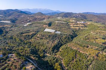 Teren construibil 11.875 mp, 450 m de plajă — Folia anunturi imobiliare Grecia