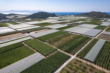 Teren 3.450 mp în Elaiochori, la marginea satului anunturi imobiliare Grecia