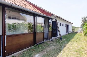 Hala de inchiriat 180 mp +spatii birouri la 20 de minute de Oradea anunturi imobiliare Bihor