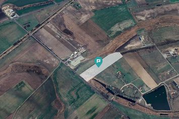 Teren compact de 50.000 mp la drum principal anunturi imobiliare Arad