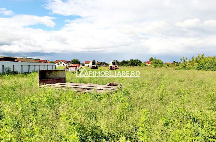 Unirii - Teren intravilan 4800 mp - la sosea anunturi imobiliare Mures