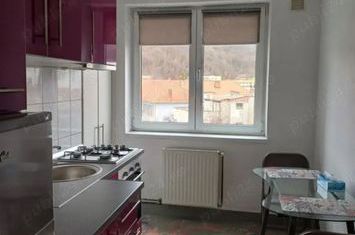 Apartament 2 camere de inchiriat CENTRUL CIVIC - Brasov anunturi imobiliare Brasov