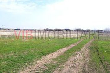 Corbeanca - Tamas, teren intravilan 19.325 mp anunturi imobiliare Bucuresti