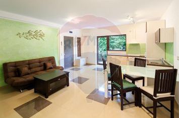 Apartament de inchiriat la vila - 3 camere zona linistita anunturi imobiliare Sibiu
