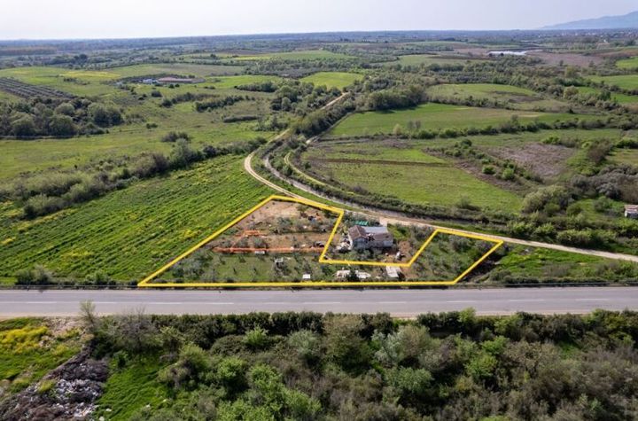 Teren agricol cu măslini 3.148 mp în Neos Xerias anunturi imobiliare Grecia