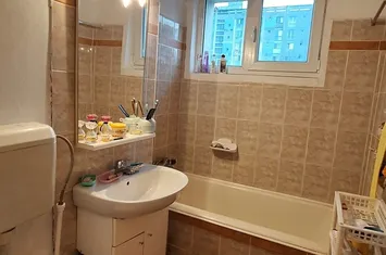 Muncii-Parc Gh. Petrascu anunturi imobiliare Bucuresti