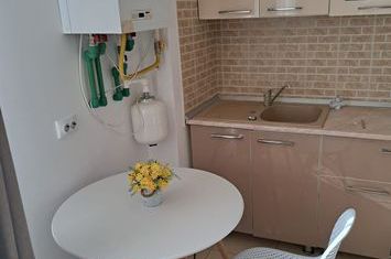 Apartament cu doua camere, open-space, Visoianu, gradina, mobilat, loc de parcare anunturi imobiliare Iasi