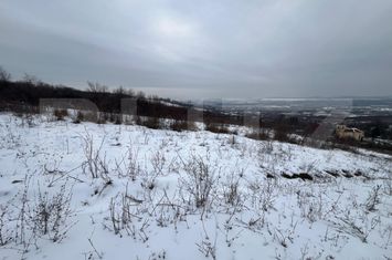 Teren de vanzare VLADICENI - Iasi anunturi imobiliare Iasi