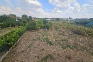 Teren de vanzare MALU MARE - Dolj anunturi imobiliare Dolj