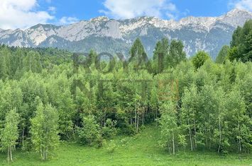 COMISION 0%! Teren superb la Plaiul Foii, pe malul Barsei anunturi imobiliare Brasov