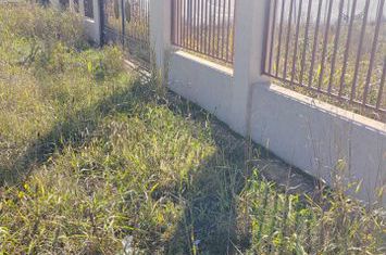 Gagu Dascalu teren ideal pentru investitie zona in dezvoltare anunturi imobiliare Bucuresti