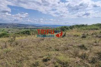 Teren Extravilan de vanzare CENTRAL - Alba anunturi imobiliare Alba