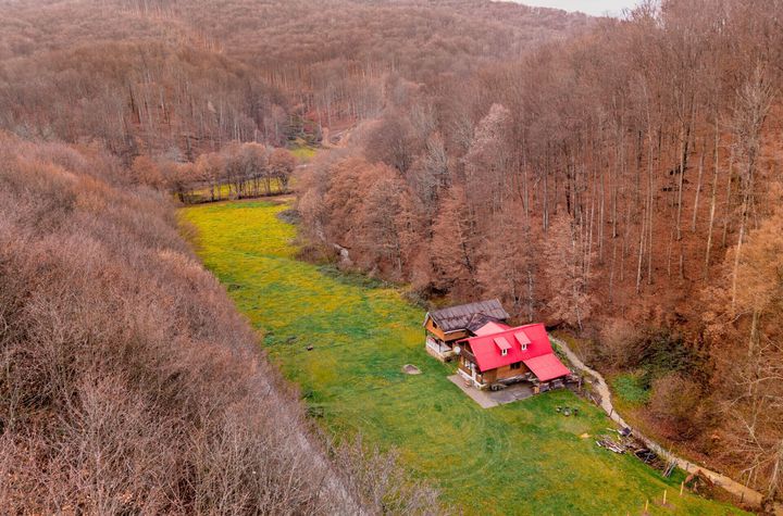 Casă - 4 camere de vanzare BRAZII - Arad anunturi imobiliare Arad