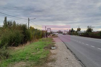 DE VANZARE TEREN 2000 MP  -  COSERENI( il ) anunturi imobiliare Ialomita