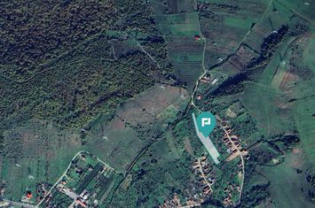 Teren fâneaţă lângă pădure - Hunedoara anunturi imobiliare Hunedoara