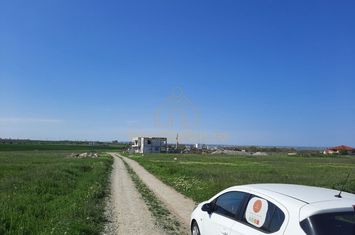 Boreal Plus 1250mp Front 26m Lângă Kaufland Bd. Madrid anunturi imobiliare Constanta