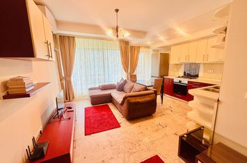 DE INCHIRIAT, 2 CAMERE OPEN SPACE, COPOU, EXCLUSIVE RESIDENCE. anunturi imobiliare Iasi
