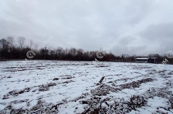 Teren Intravilan de vanzare AVRIG - Sibiu anunturi imobiliare Sibiu