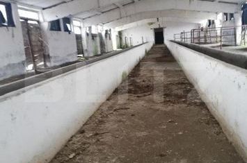 Teren de vanzare SATU MARE - Satu Mare anunturi imobiliare Satu Mare