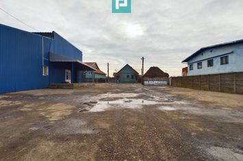Depozit frigo în Săcălaz anunturi imobiliare Timis