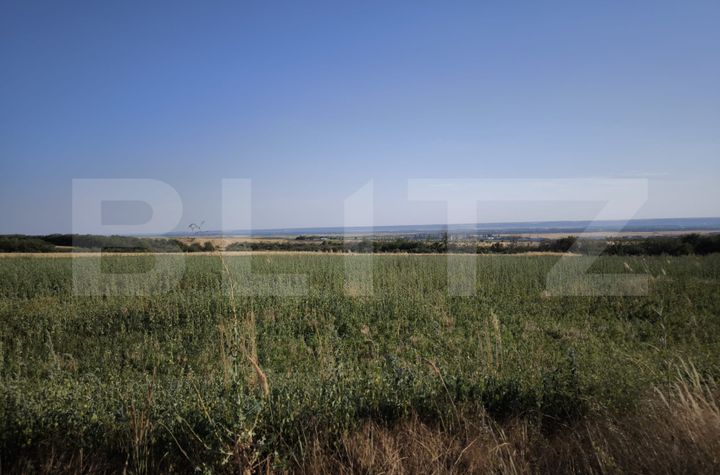 Teren de vanzare CARCEA - Dolj anunturi imobiliare Dolj
