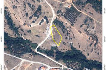 Teren 8.164 mp în Ekali (Zarkadia), Nestou anunturi imobiliare Grecia