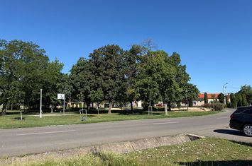Teren 1000 mp in Iosia | Parcul Ghioceilor anunturi imobiliare Bihor