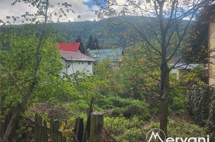 Teren Intravilan de vanzare SINAIA - Prahova anunturi imobiliare Prahova
