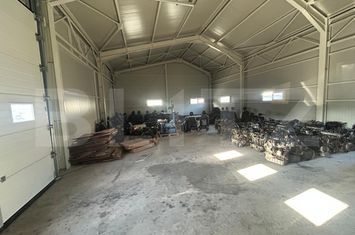Spațiu industrial de inchiriat TARGOVISTE - Dambovita anunturi imobiliare Dambovita