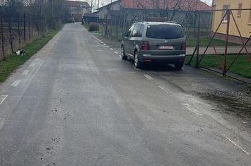 6700 MP TEREN ALBESTI- SIGHISOARA anunturi imobiliare Mures