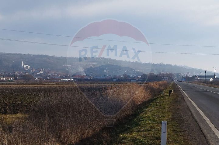 TEREN INTRAVILAN  5100 mp.Sărmașag - jud. Sălaj / E81 Zalău Satu-Mare anunturi imobiliare Salaj