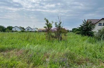 Teren Corbeanca- strada Ficusului. anunturi imobiliare Bucuresti