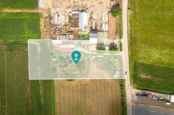 Teren intravilan 5500 mp Sânleani anunturi imobiliare Arad