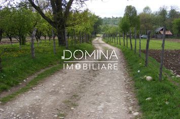 Teren de inchiriat RUNCU - Gorj anunturi imobiliare Gorj