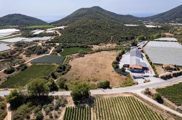 Teren construibil 15.500 mp în Elaiochori anunturi imobiliare Grecia