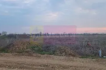 Săbăreni, teren curti-constructii 610 mp cu utilităti anunturi imobiliare Giurgiu