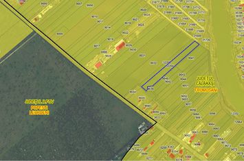 Foto 2 FRUMUSANI-ORASTI, LOT 7.630 MP! anunturi imobiliare Frumusani
