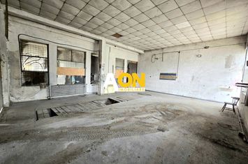 Hală de Închiriat, 100mp, Pretabil P/U Service Auto, Zona Bărăbanț anunturi imobiliare Alba