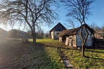 Casă - 4 camere de vanzare VIILE SATU MARE - Satu Mare anunturi imobiliare Satu Mare