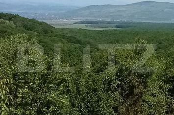 Teren de vanzare SECIU - Prahova anunturi imobiliare Prahova