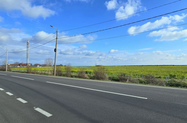 Teren de vanzare VAMA VECHE - Constanta anunturi imobiliare Constanta