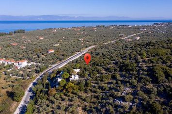 Teren construibil 6951,13 mp în Skala Rachoniou anunturi imobiliare Grecia