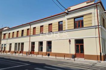 Apartament 2 camere de vanzare,cladire istorica, Piata Unirii anunturi imobiliare Bihor