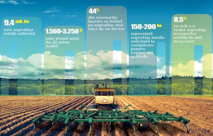 Agentiile straine recomanda investitiile in terenuri arabile romanesti, cele mai ieftine si lipsite de risc